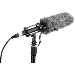 Shotgun Microphones